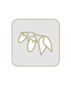 Gojibeere