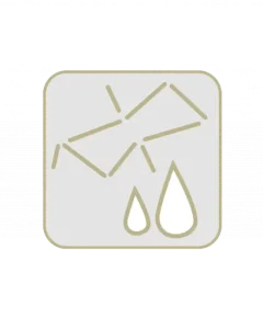 Polysaccharide